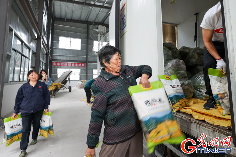 【组图】“守沪者联盟”丨浙江湖州：种植大户爱心援沪 500份蔬菜包发往上海