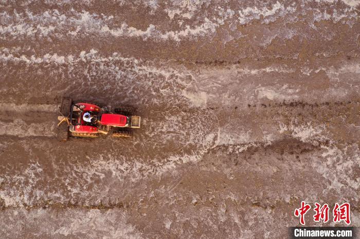 6月14日，安徽省五河县小圩镇大圩村农民在翻耕水田准备插秧(无人机照片)。　李向前 摄