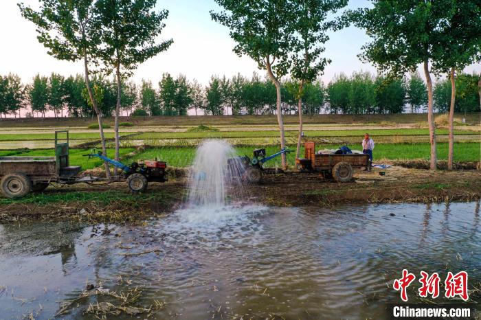 6月14日，安徽省五河县小圩镇大圩村农民在往水田里灌水，准备插秧。　李向前 摄