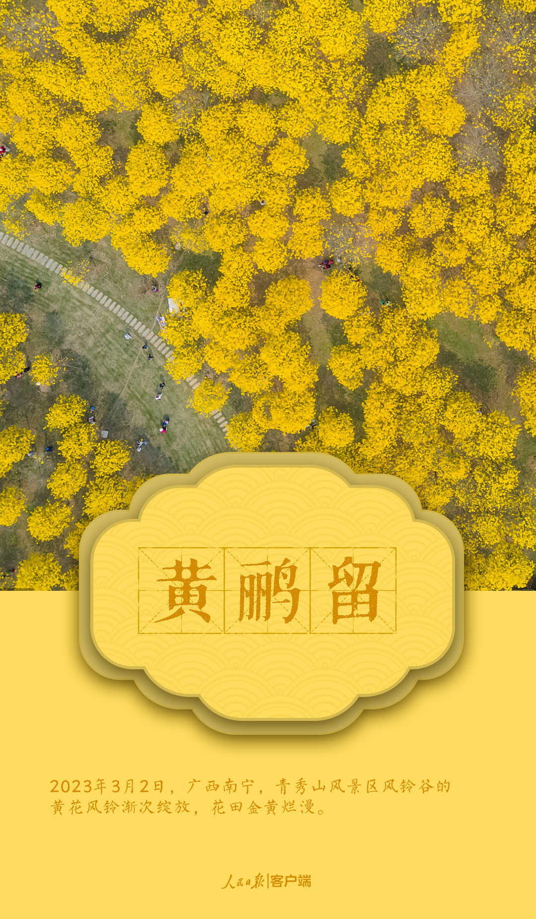 微信图片_202303222141251.jpg?x-oss-process=style/w10