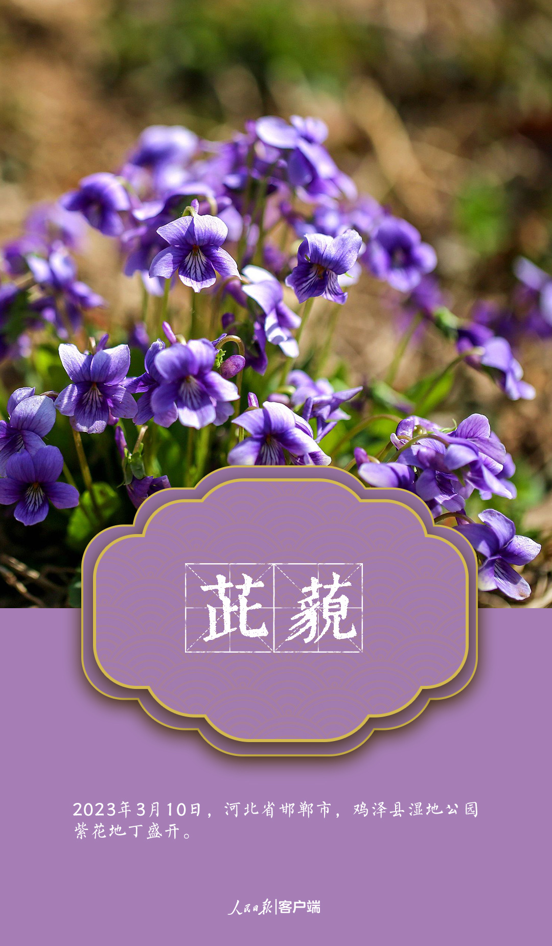 微信图片_202303222141256.jpg?x-oss-process=style/w10