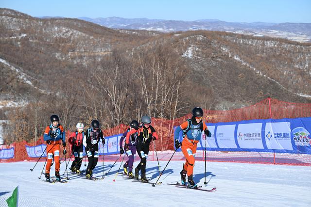 2月1日，第十四届全国冬季运动会滑雪登山公开组混合接力比赛在内蒙古呼伦贝尔市扎兰屯金龙山滑雪场举行。新华社记者 贝赫 摄